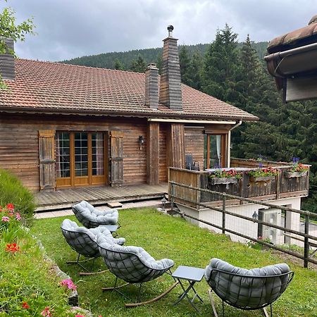 Gite Au 21 Vosgien Ventron Dış mekan fotoğraf